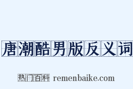 唐潮酷男版反义词是什么意思的图片